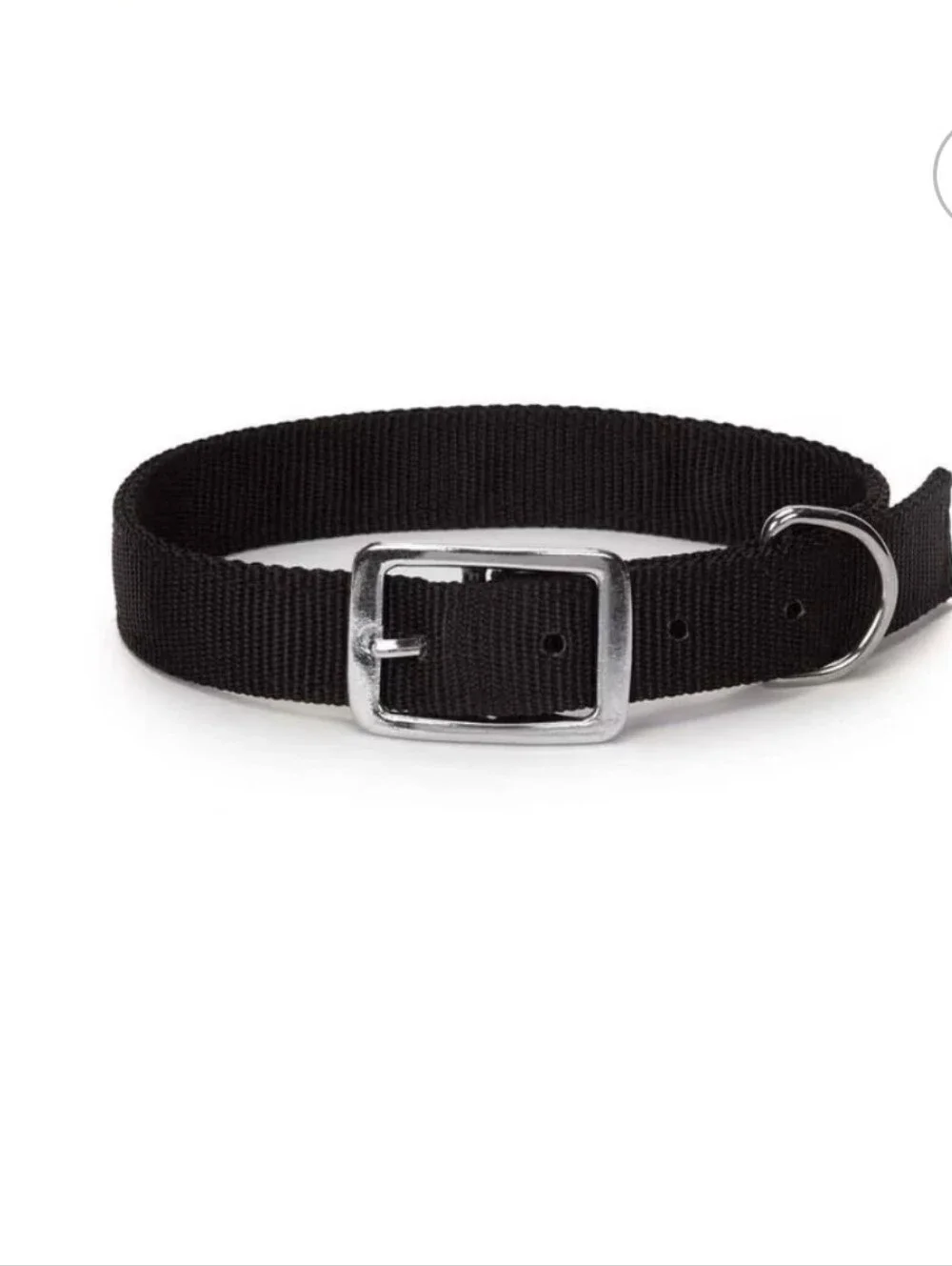 20 Inch Dog Collar with Metal D-Ring